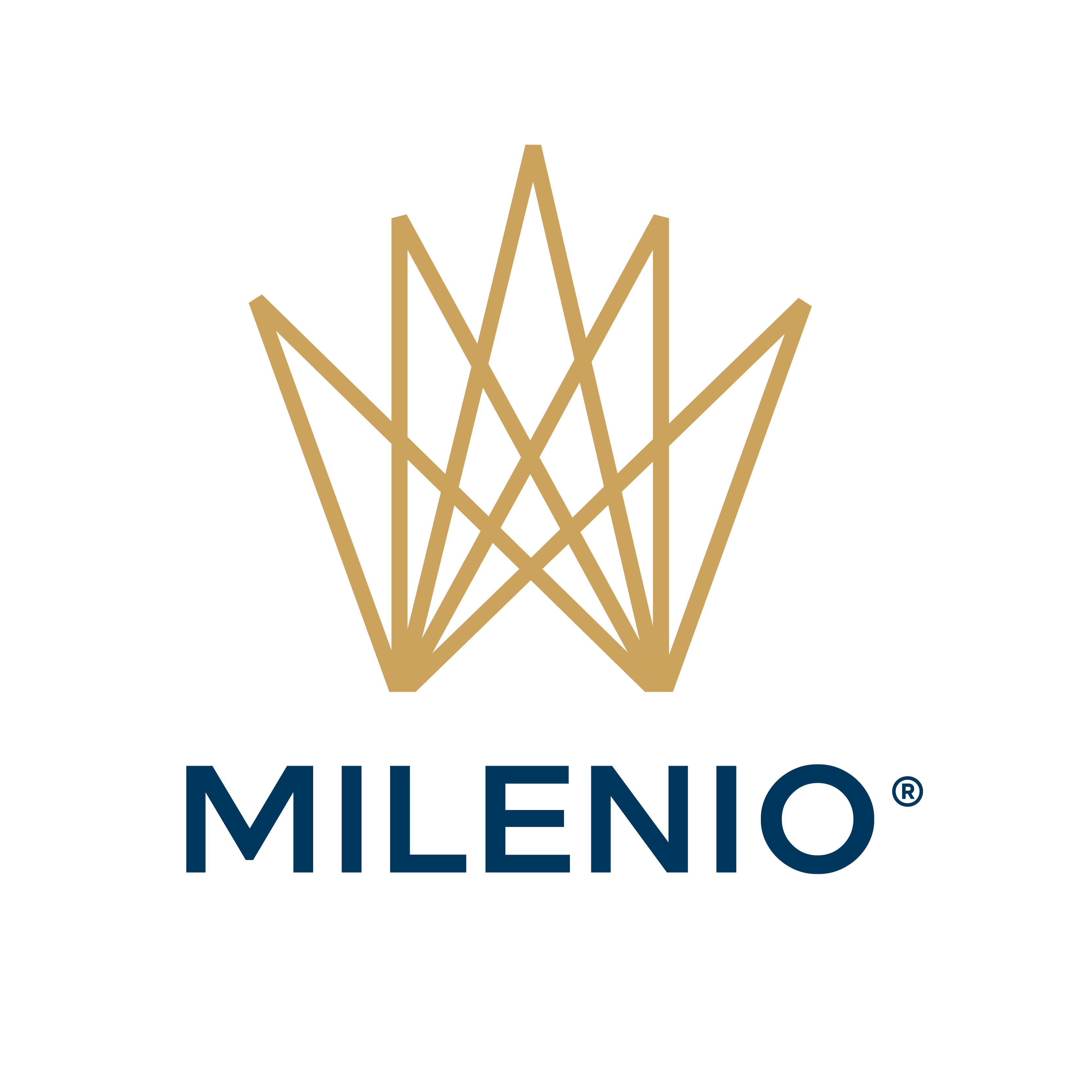 MilenioR-01.png